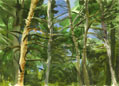 tall_pines_at_skylands_copy.jpg (5334 bytes)